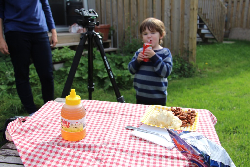 gratuitous picture of Toddlerbear helping us take pictures of the Kentucky Fried Crickets